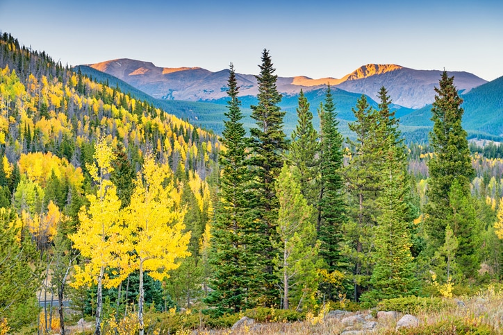 image of fall in Rocky Mountain National park