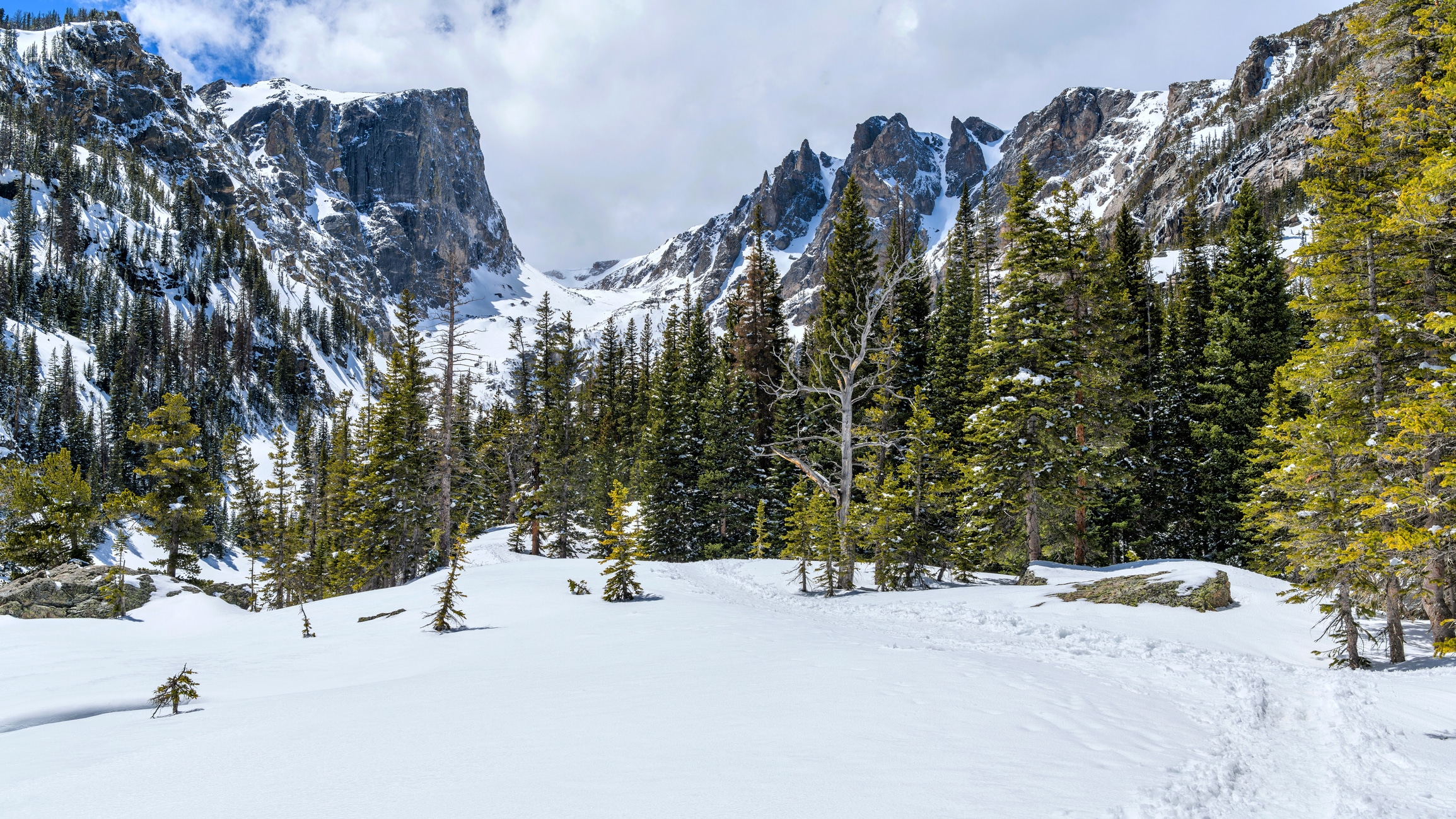 image of Rocky Mountain National Park in the winter