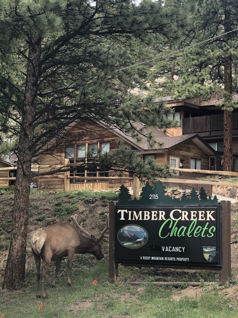 image of timber creek chalets estes park lodging