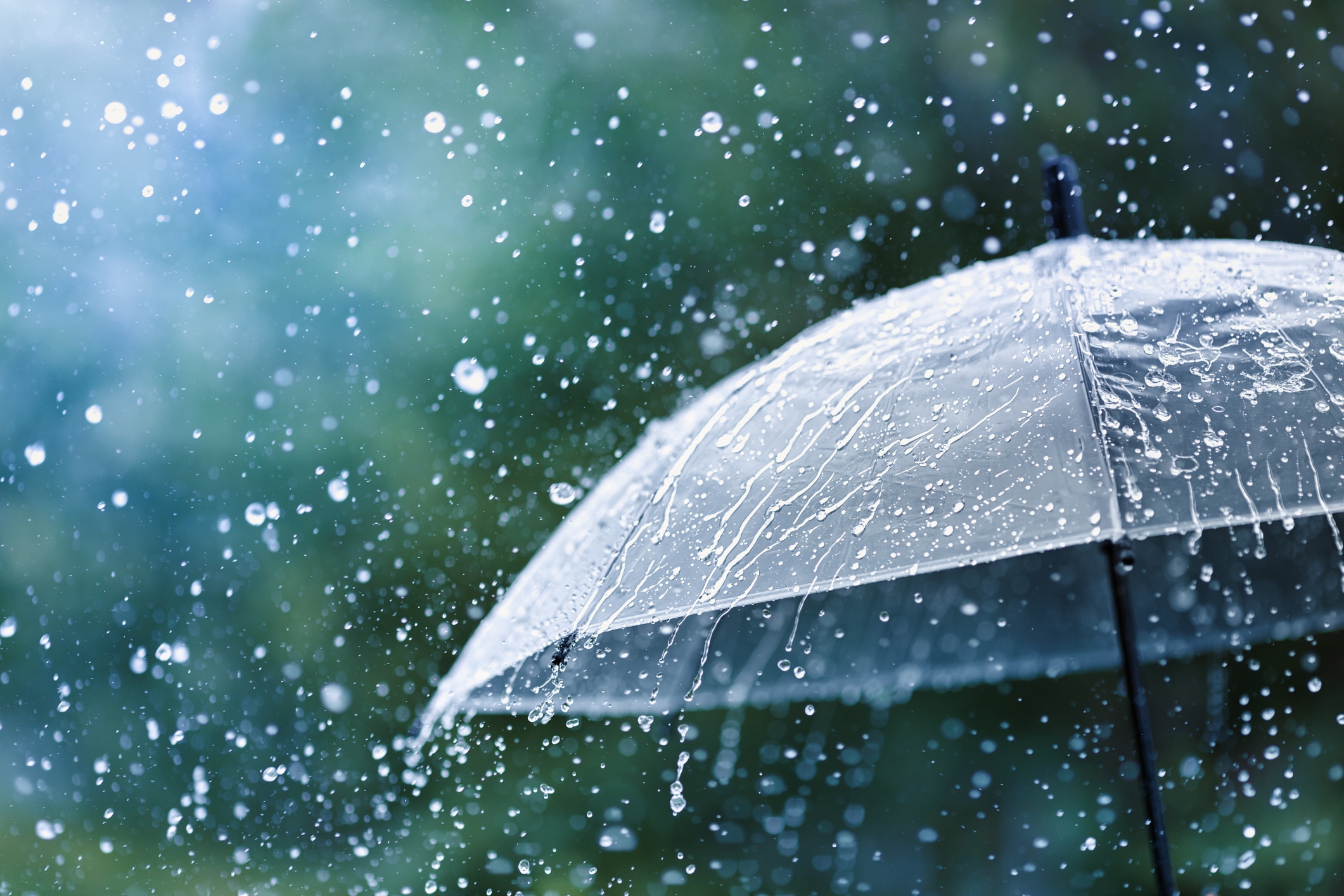image of rain and umbrella