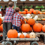 5 Fall Festivals in Estes Park to Attend
