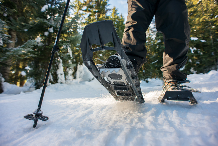 Closeup of Hiker Snowshoeing on Trail Through Winter Forest