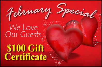 $100.00 Gift Certificate in February.